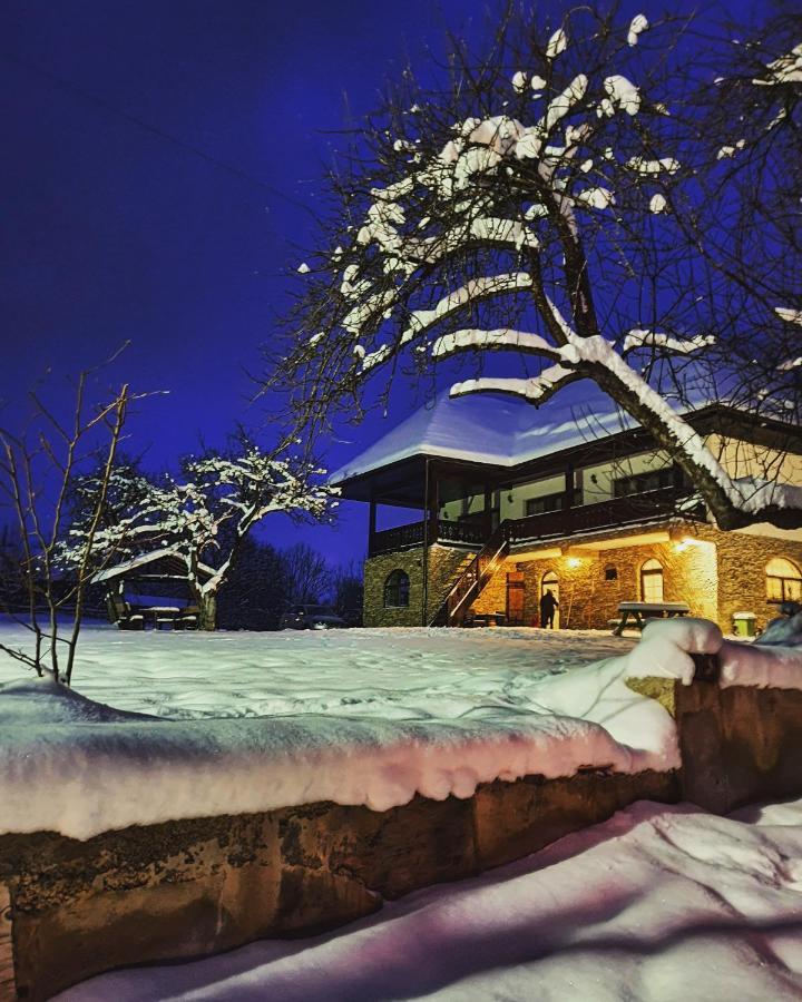 Casa Mesterului Sohodol  Exterior foto